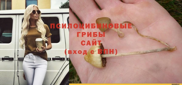 дживик Бородино