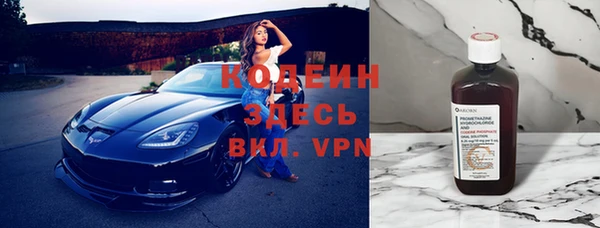 дживик Бородино