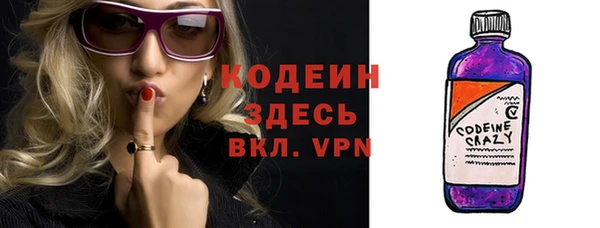 дживик Бородино