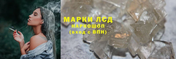 стаф Бугульма