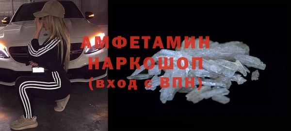 дживик Бородино