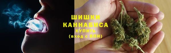 стаф Бугульма