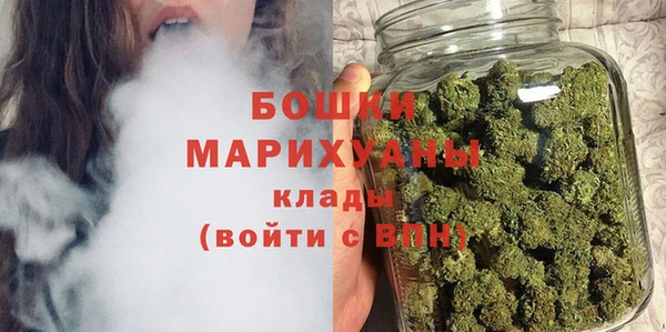дживик Бородино