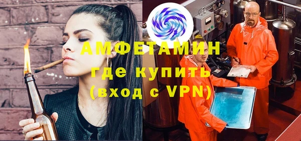 дживик Бородино