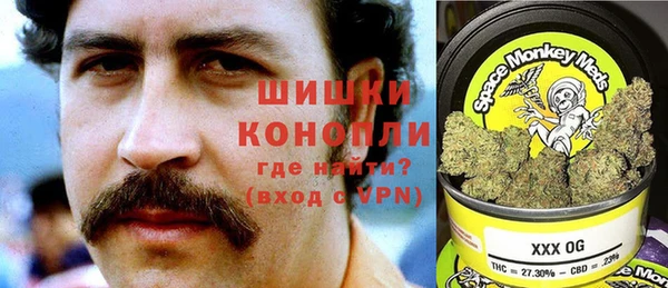 ECSTASY Бронницы