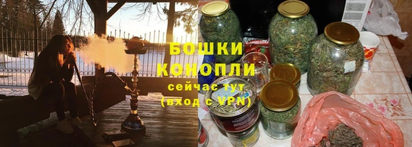 дживик Бородино