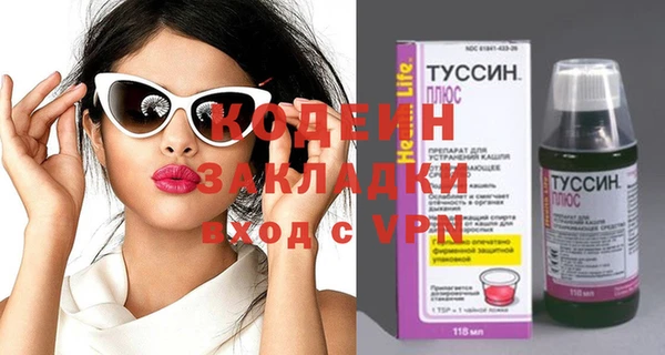 дживик Бородино