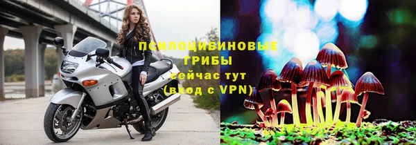дживик Бородино
