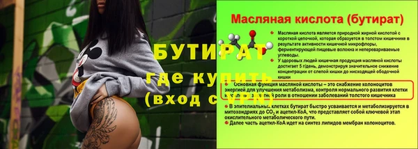 дживик Бородино