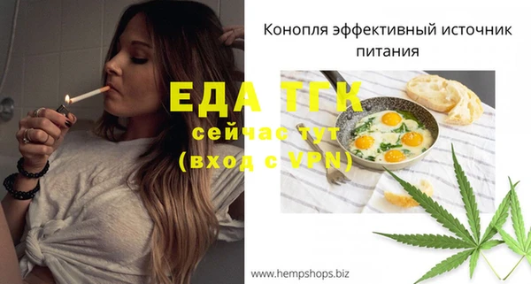 дживик Бородино