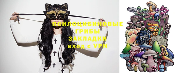 ECSTASY Бронницы