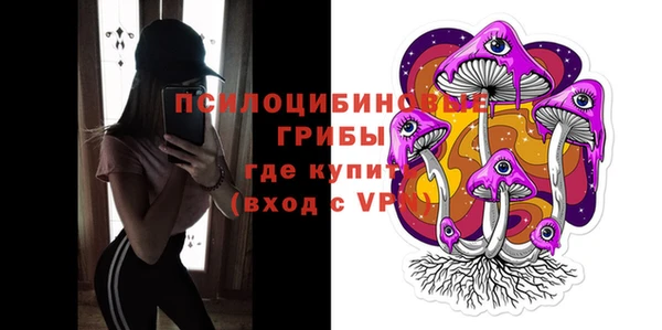 стаф Бугульма